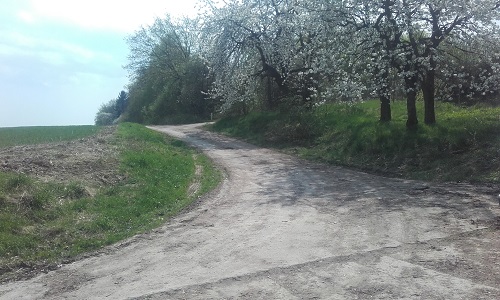 Benutzer eigenes Bild