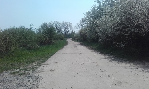 Benutzer eigenes Bild