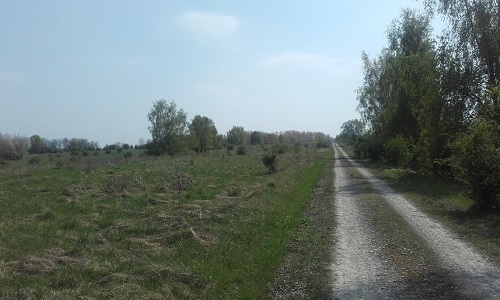 Benutzer eigenes Bild