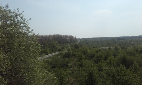 Benutzer eigenes Bild