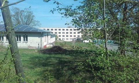 Benutzer eigenes Bild