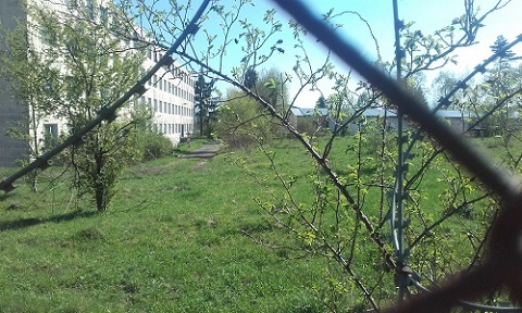 Benutzer eigenes Bild